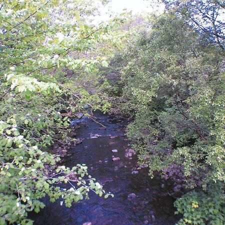 1 Bedroom Annex In The Heart Of Amman Valley Betws  Esterno foto